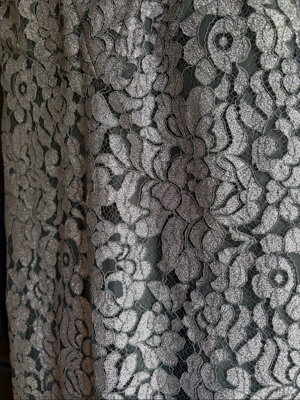 Lace Overlay gown - Picture 2 of 11